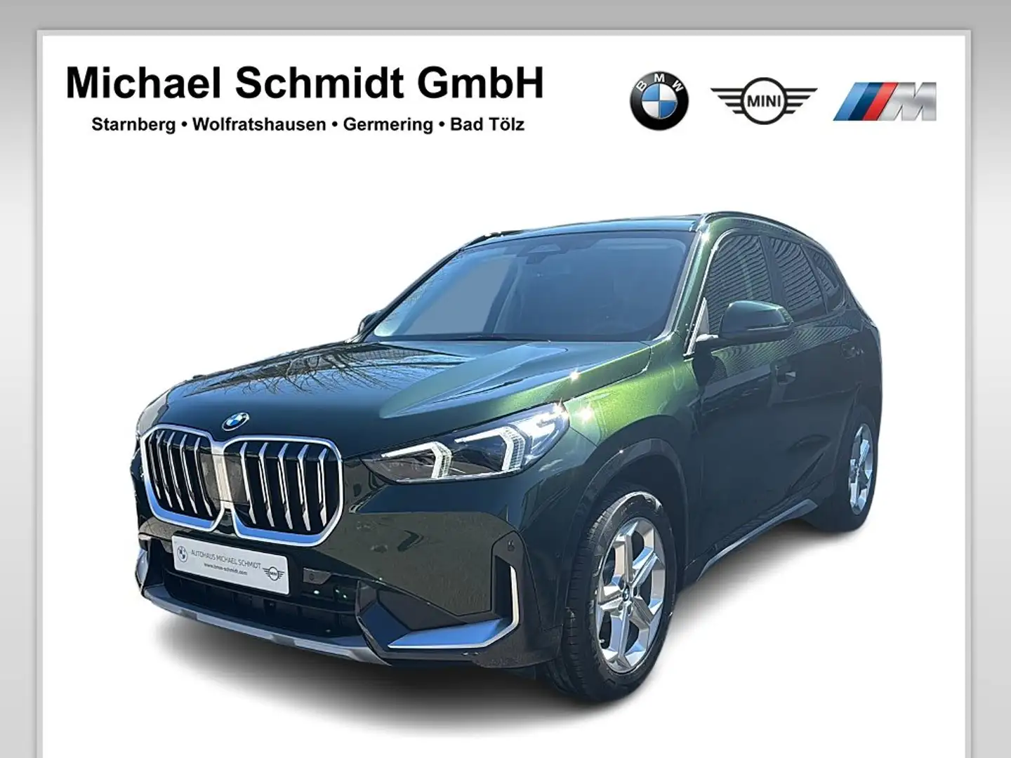BMW X1 sDrive20i  xLine HK HiFi DAB LED Pano.Dach Groen - 1