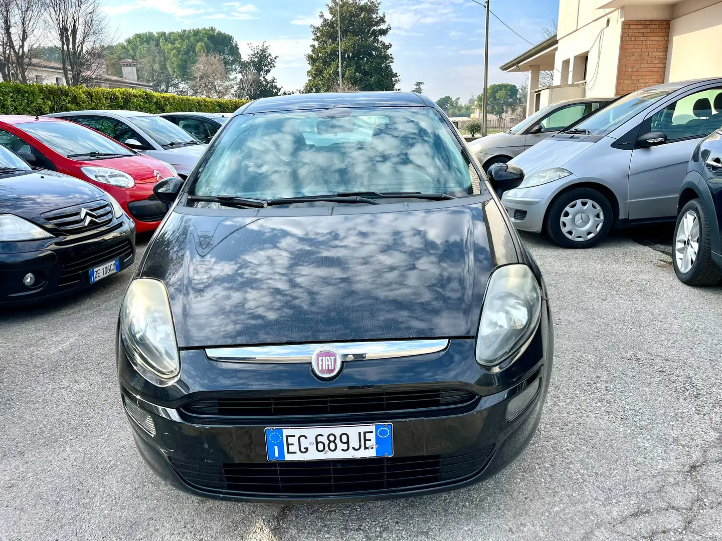 Fiat Punto Evo Punto Evo 5p 1.3 mjt Active s Negro - 2