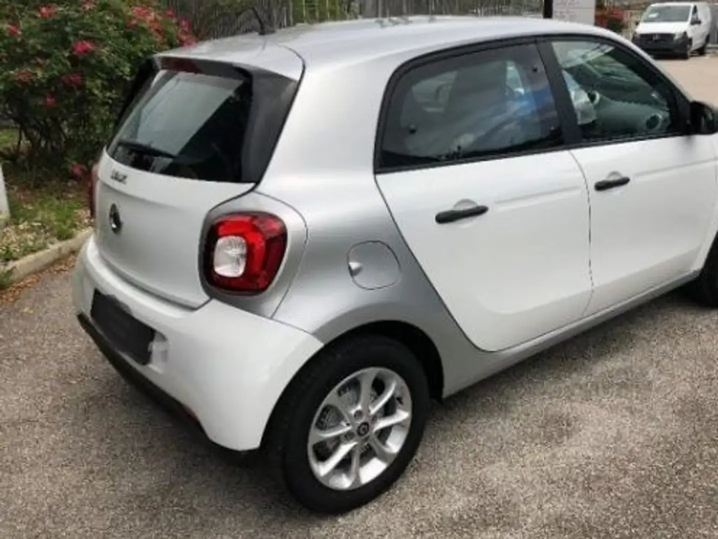 smart forFour 1.0 Youngster 71cv c/S.S. Bianco - 2
