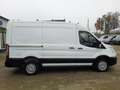 Ford Transit Kasten 320 L2H2 Trend/PDC/ Klima/ Kamera Blanc - thumbnail 25
