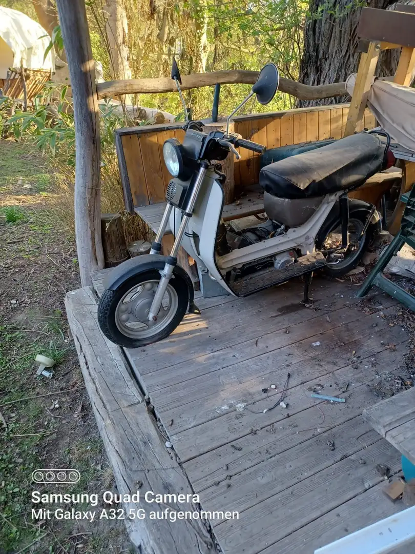 Simson SR 50 Grau - 1