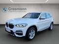 BMW X3 xDrive20d Weiß - thumbnail 1