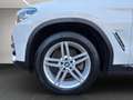 BMW X3 xDrive20d Weiß - thumbnail 17