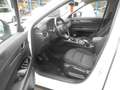 Mazda CX-5 SKYACTIV-D 150 CX-5 Diesel 150PS 6GS Kangei Blanco - thumbnail 12