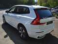 Volvo XC60 2.0 T6 PHEV AWD Plus Black Edition TOIT PANORAMIC Wit - thumbnail 4