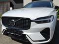 Volvo XC60 2.0 T6 PHEV AWD Plus Black Edition TOIT PANORAMIC Wit - thumbnail 11