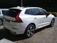 Volvo XC60 2.0 T6 PHEV AWD Plus Black Edition TOIT PANORAMIC Wit - thumbnail 3