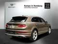 Bentley Bentayga EWB Azure V8 - Model Year 2024 Bruin - thumbnail 6