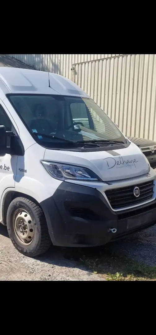 Fiat Ducato cng gaz / l4 / problème motor !!! 2019 Blanc - 1