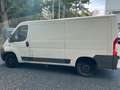 Fiat Ducato Kasten 2.3 D Multijet AHK +TÜV NEU Weiß - thumbnail 3