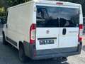 Fiat Ducato Kasten 2.3 D Multijet AHK +TÜV NEU Weiß - thumbnail 5