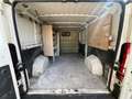 Fiat Ducato Kasten 2.3 D Multijet AHK +TÜV NEU Weiß - thumbnail 8