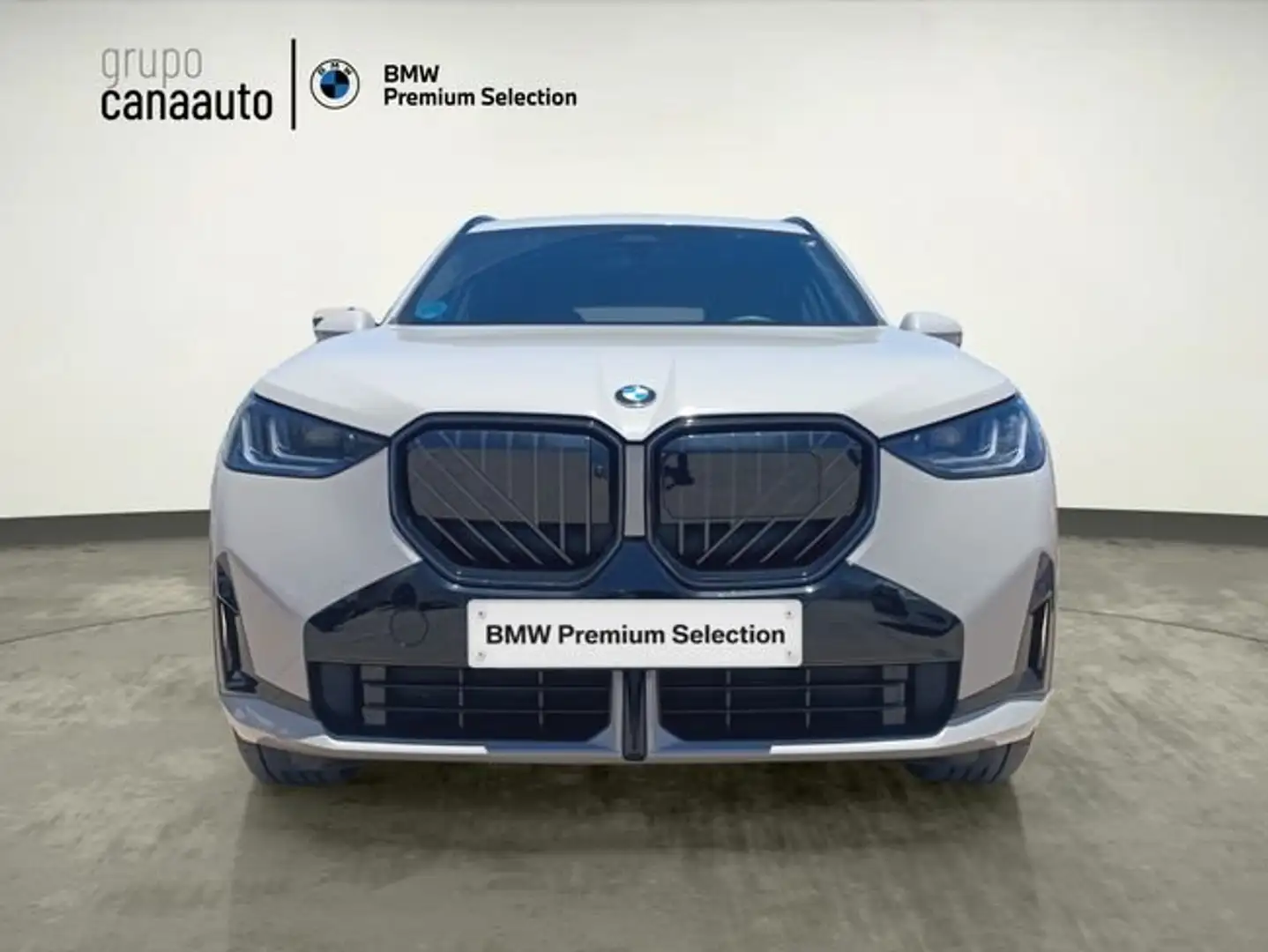 BMW X3 xDrive30e 220 kW (299 CV) Gris - 2