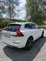Volvo XC60 D4 R-Design AWD AHK HEAD UP SUV / Gelän - thumbnail 6