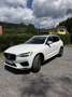 Volvo XC60 D4 R-Design AWD AHK HEAD UP SUV / Gelän - thumbnail 3
