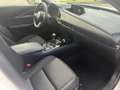 Mazda CX-30 2.0 Selection 2WD - STANDHEIZUNG Weiß - thumbnail 9