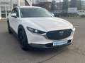 Mazda CX-30 2.0 Selection 2WD - STANDHEIZUNG Weiß - thumbnail 7