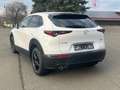 Mazda CX-30 2.0 Selection 2WD - STANDHEIZUNG Weiß - thumbnail 3