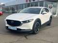 Mazda CX-30 2.0 Selection 2WD - STANDHEIZUNG Weiß - thumbnail 1