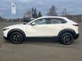 Mazda CX-30 2.0 Selection 2WD - STANDHEIZUNG Weiß - thumbnail 2