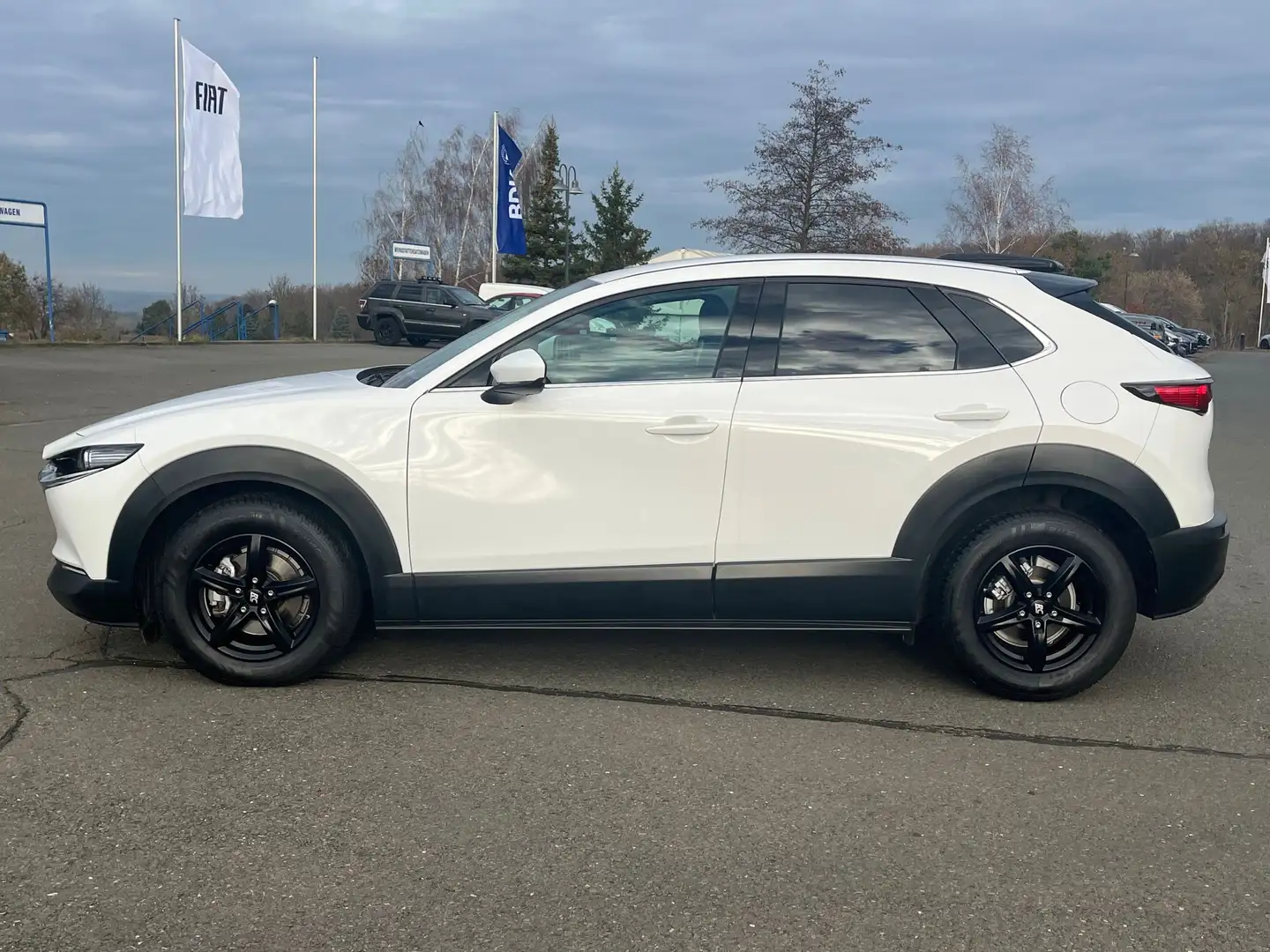Mazda CX-30 2.0 Selection 2WD - STANDHEIZUNG Weiß - 2