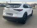Mazda CX-30 2.0 Selection 2WD - STANDHEIZUNG Weiß - thumbnail 6