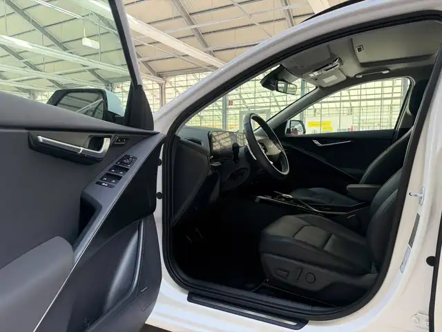 Kia Niro view 8
