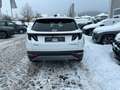 Hyundai TUCSON 1.6 T-GDI 48V Trend DCT Weiß - thumbnail 5