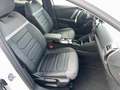 Citroen C4 X Pure Tech 130 EAT 8 Shine Automatik Weiß - thumbnail 10