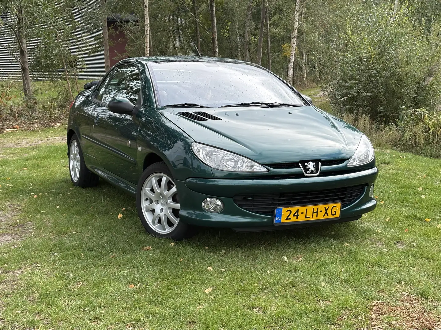 Peugeot 206 1.6-16V Roland Gaross Groen - 1