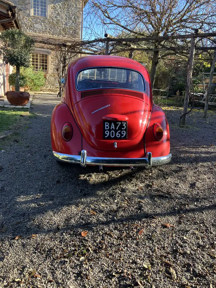 Volkswagen Maggiolino Standard, foto 4
