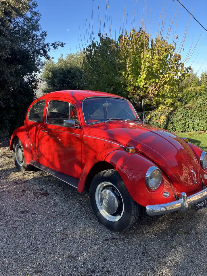 Volkswagen Maggiolino Standard, foto 1