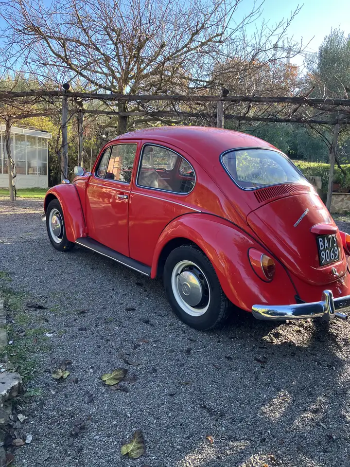 Volkswagen Maggiolino Standard, foto 3