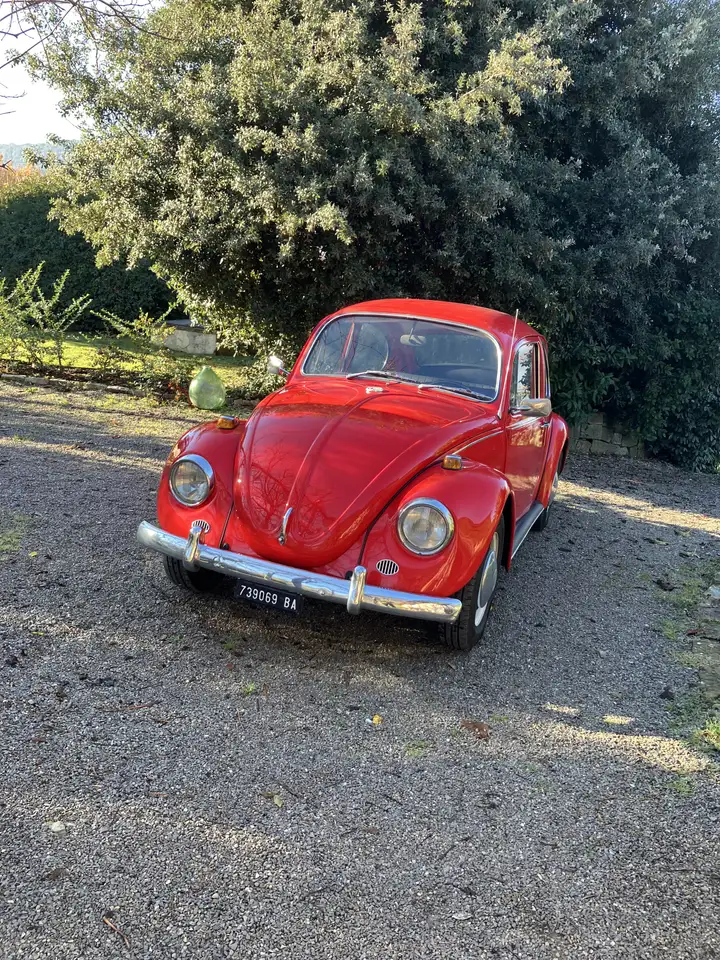 Volkswagen Maggiolino Standard, foto 2