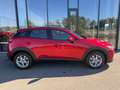 Mazda CX-3 G120 Challenge Rot - thumbnail 6