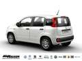 Fiat Panda Hybrid 1.0 GSE PANDINA KLIMA PDC Weiß - thumbnail 3