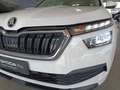 Skoda Kamiq 1.0 tsi ambition 110cv Wit - thumbnail 12