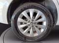 Skoda Kamiq 1.0 tsi ambition 110cv Wit - thumbnail 13