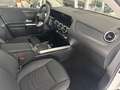 Mercedes-Benz GLA 250 e Progressive Line 11Kw Laden Winter Kam Weiß - thumbnail 9