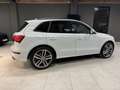 Audi SQ5 3,0 TDI quattro Tiptronic - thumbnail 10