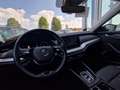 Skoda Octavia Combi 2.0 TDI First Edition DSG Navi ACC LED Head Grau - thumbnail 9