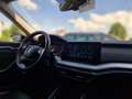 Skoda Octavia Combi 2.0 TDI First Edition DSG Navi ACC LED Head Grau - thumbnail 13