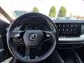 Skoda Octavia Combi 2.0 TDI First Edition DSG Navi ACC LED Head Grau - thumbnail 16