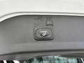 Ford Kuga KUGA 2.0 Individual 4WD / WR / AHK Weiß - thumbnail 15