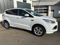 Ford Kuga KUGA 2.0 Individual 4WD / WR / AHK Blanc - thumbnail 5