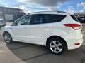 Ford Kuga KUGA 2.0 Individual 4WD / WR / AHK Weiß - thumbnail 2