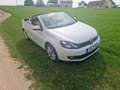 Volkswagen Golf Cabriolet Golf Cabrio 1.4 TSI DSG Exclusive Weiß - thumbnail 6