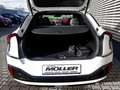 Kia EV6 GT 77.4 AWD Glasdach Head-Up ACC Soundsystem Schal Weiß - thumbnail 12