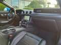 Ford Mustang GT FASTBACK 5.0L V8 450ch Bleu - thumbnail 14