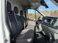 Ford Transit 350 L3H2*Bi-Xenon*Klima*CarPlay*SHZ*AHK* Weiß - thumbnail 14